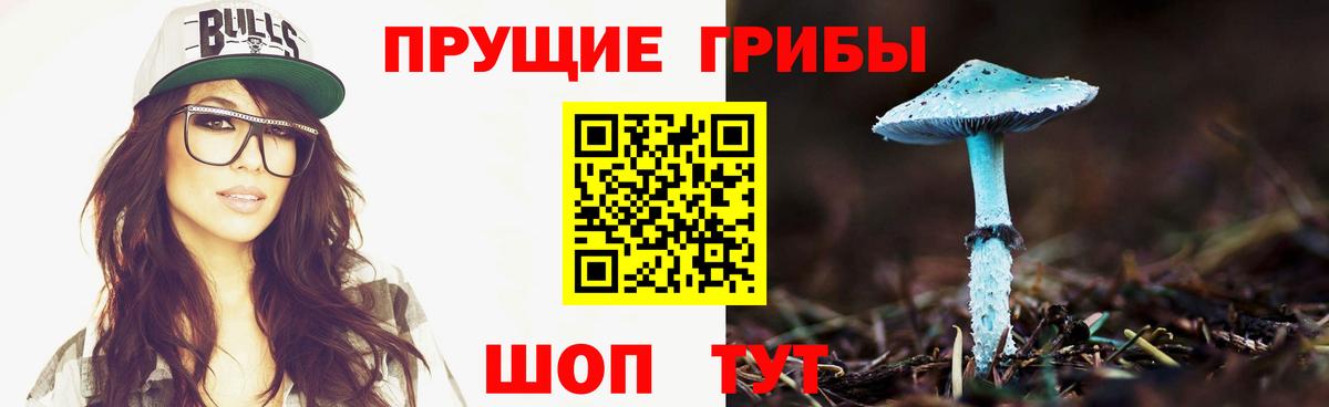 Галлюциногенные грибы Psilocybe  Вход с VPN  Великий Новгород 